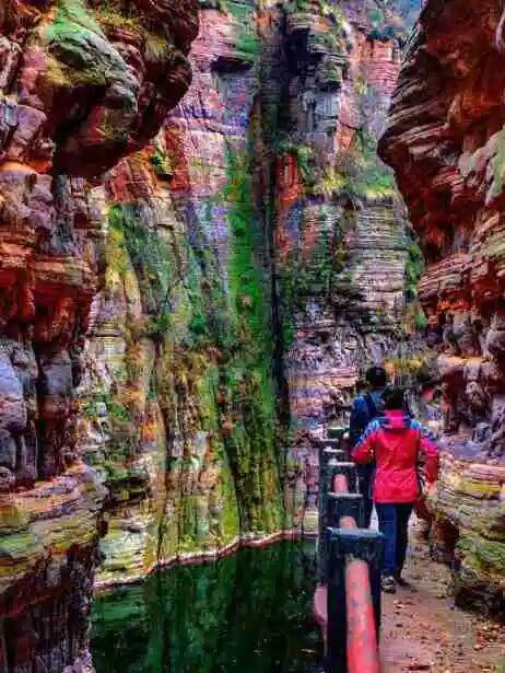 我们，如此热爱洛阳