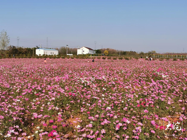 池州东至：废弃矿山变身休闲乐园
