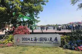 上海徐汇滨江变身花海，网友赞叹“绝美梦幻”“美到失语”图片