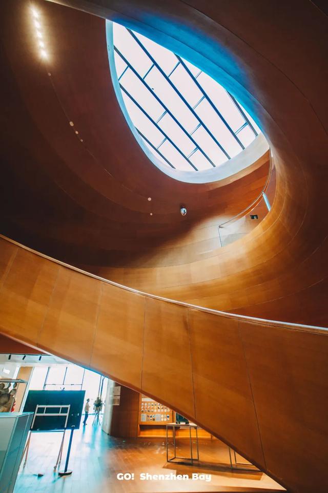 火了！深圳湾“悬浮阿姨”