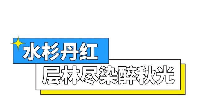 航旅融合 | 抽免费机票，来三明欣赏不一样的初冬景色！
