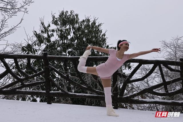 大寒时节雪纷飞 张家界国家森林公园雪景如画