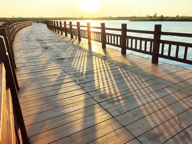 上海工会会员服务日来啦！第一波上线：光明田原与瑞华果园最佳草莓采摘季！免门票、85折！