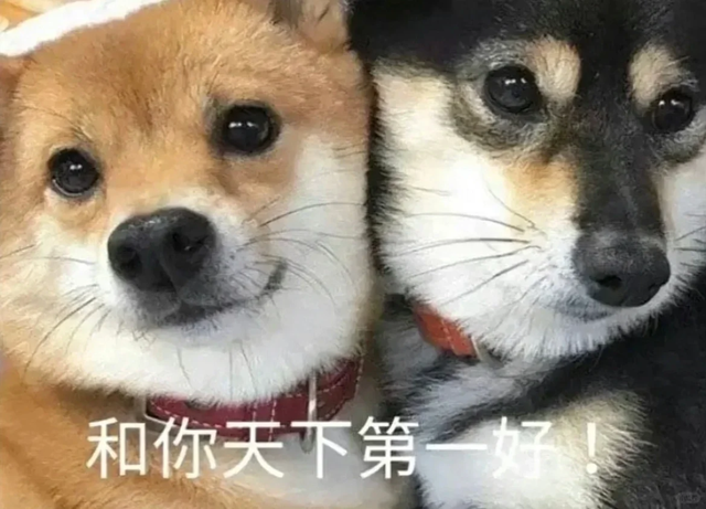 免租1年！还有生活补贴！全是干货……