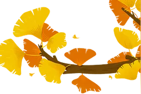 黄山互助公社——黄山脚下的美好家园图片