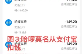 打顺风车后连续7天凌晨被免密支付21笔钱，哈啰：账户被盗，已报警图片