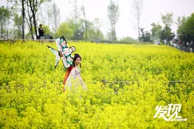 发现·春天里的陕西丨都市里的油菜花海 长安公园一片金黄图片