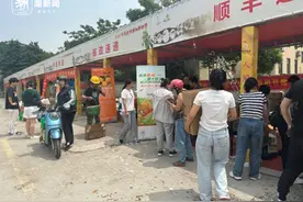 塘栖枇杷上市，快递公司进村卷服务图片