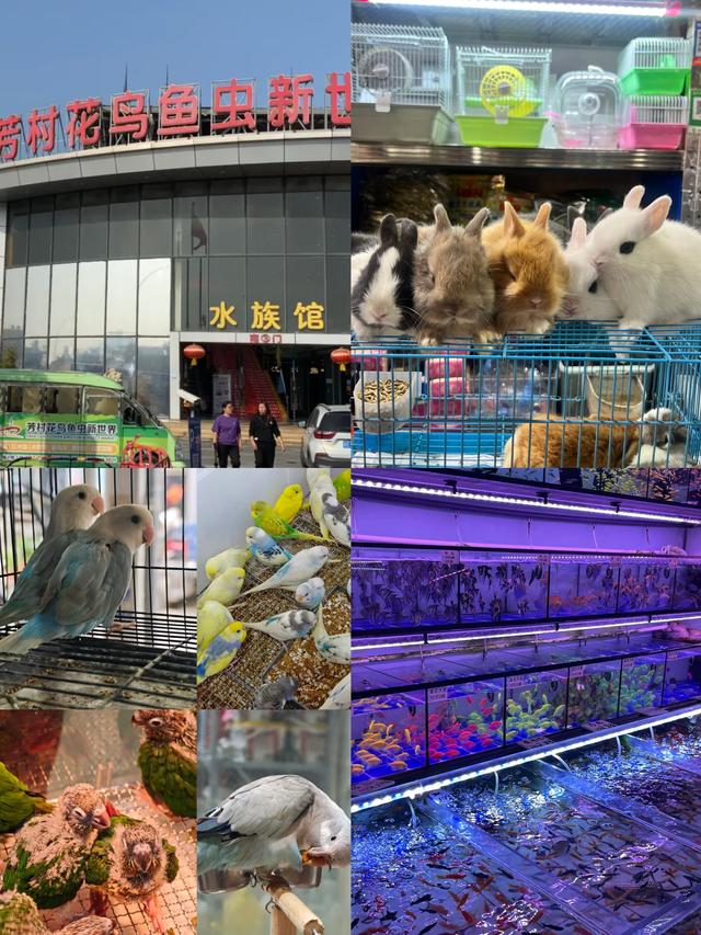 一件也是批发价！地铁直达的靓货天堂丨一“线”游广佛