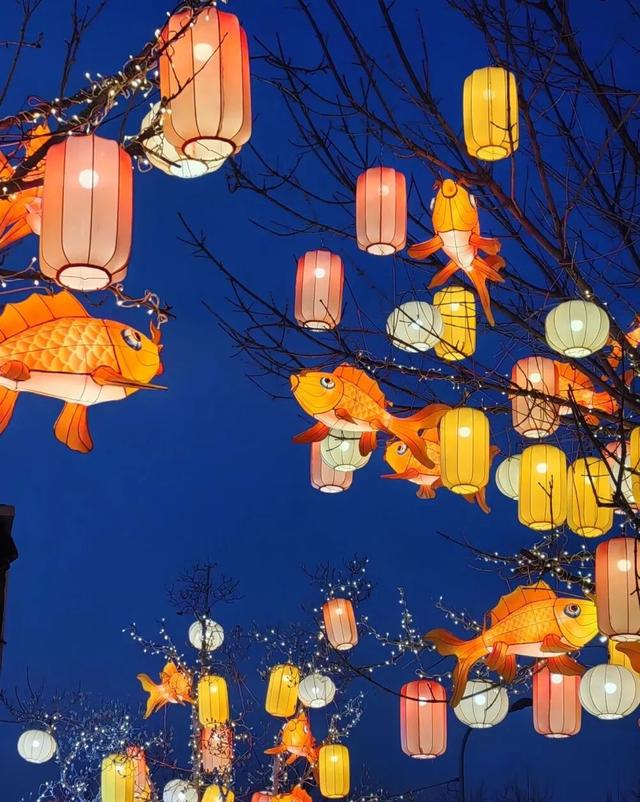 亮了！海淀这条街，年味儿已“上线”——