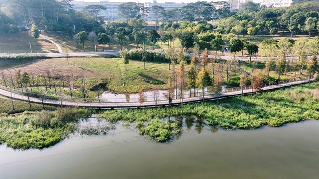 深圳最长环湖骑行道贯通！骑行如入画中，就在宝安石岩