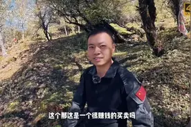 花20万只捕到5头野猪？当事人发声：已经开始上手了图片