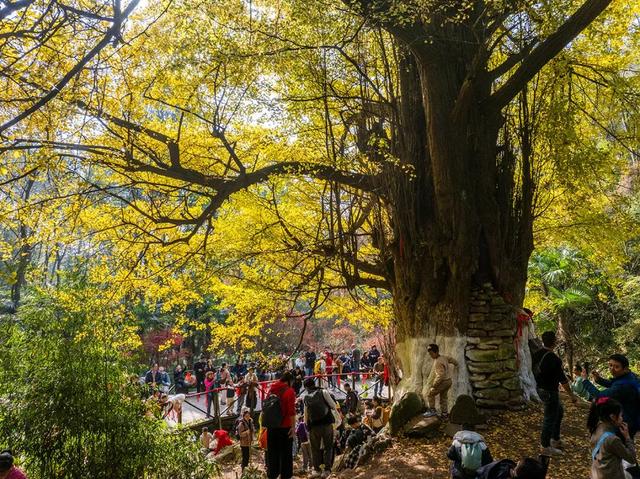 不上班，就上山！