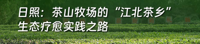 潍坊入选！2025山东省文旅康养融合发展典型案例公布