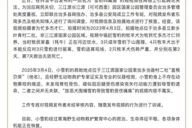 有人放恶犬围捕雪豹致其瘫痪?三江源国家公园通报图片