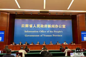 【云新发布】2024年云南省经济“半年报”出炉图片