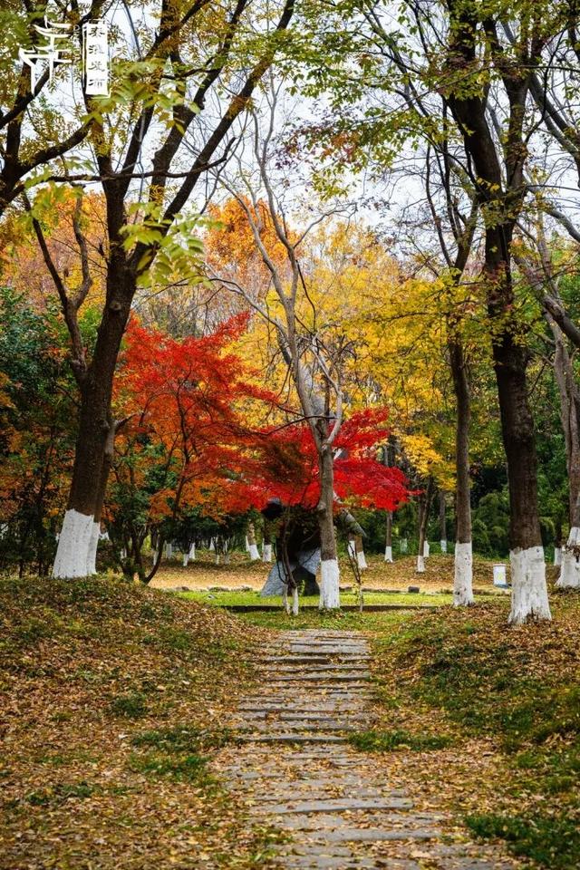 秦淮citywalk｜七桥瓮湿地公园