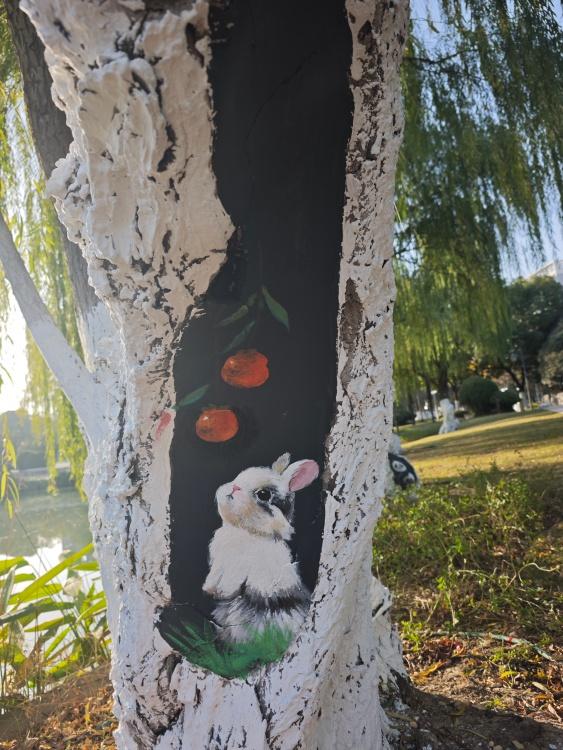 邂逅转角花境 一路一景串联高新区生态画廊