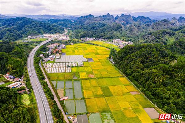 湖南通道侗寨：金秋“丰”景，藏在山水间的诗意画卷