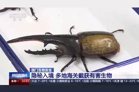 铲屎官们 养“异宠”也可能危害国家安全，这些行为违法了！图片