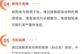 当心！家里养这类宠物可能会染上这么多种病！图片