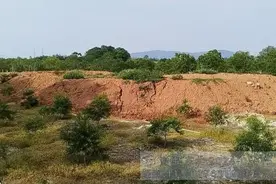 发现一起查处一起！三水重拳整治违法占用农用地堆填固体废物行为图片