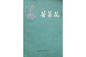 纸上烽烟｜苦菜花，在烈火硝烟中顽强绽放图片