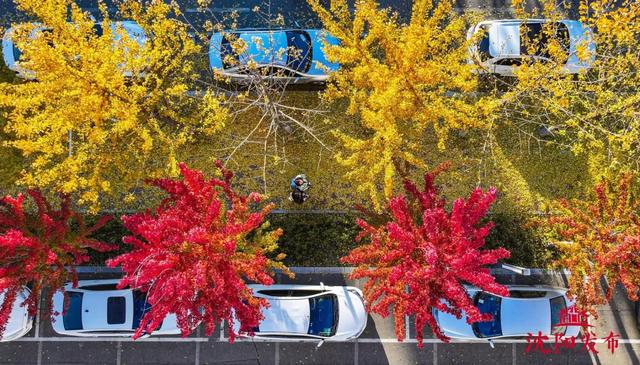 沈阳这些地方太美了!赏秋倒计时,错过等一年!