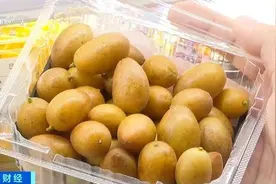 热闻|正气行气 ，健胃消食！“夏日限定”水果“黄皮”成新“顶流”图片