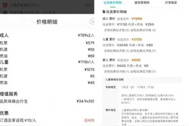 儿童机票比成人的贵？业内人士支招如何购买优惠票图片