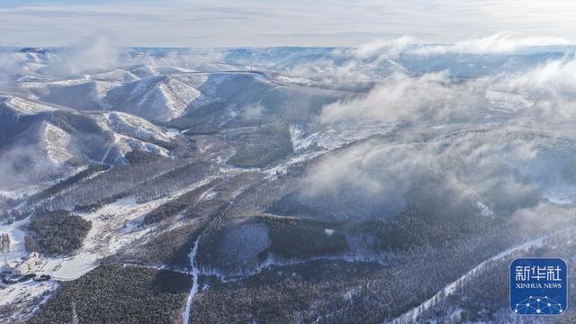 冬日塞罕坝 风景美如画