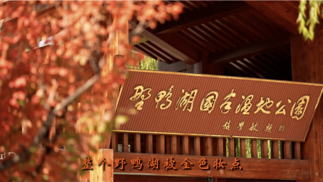 颜值巅峰！北京秋日“调色盘”尽在这些水岸——