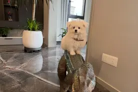 高发季来了！不少人已中招！尽量远离图片