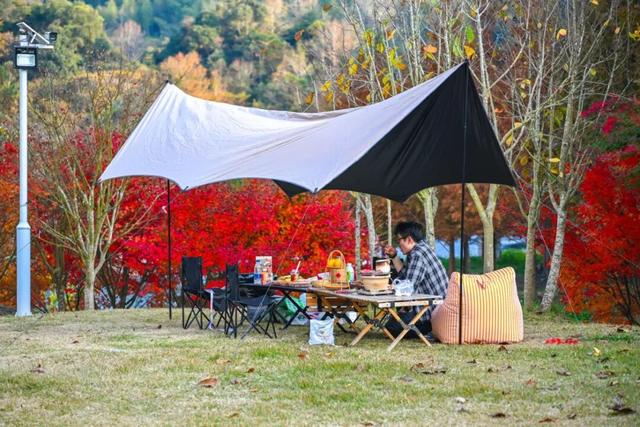 美“枫”了！九峰村迎来颜值巅峰！