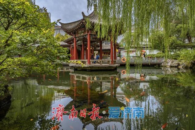 一年四季 泉在济南丨济南五龙潭公园：初秋园林韵，雅致入画来