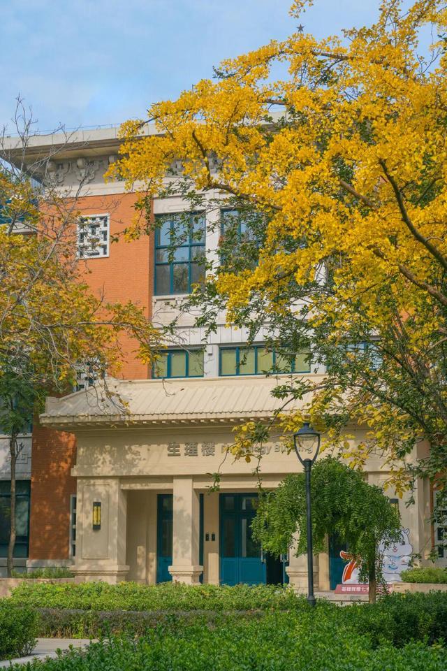 藏不住了！攒了整个秋天的北医美景，立冬前全部分享！