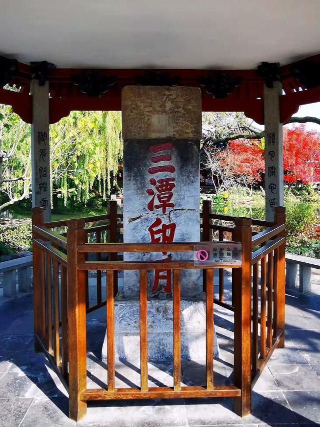 晚潮｜三潭石塔观鸬鸟