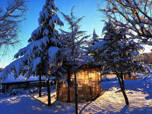 冬游威海 情满山海｜雪后，走入童话世界般的威海