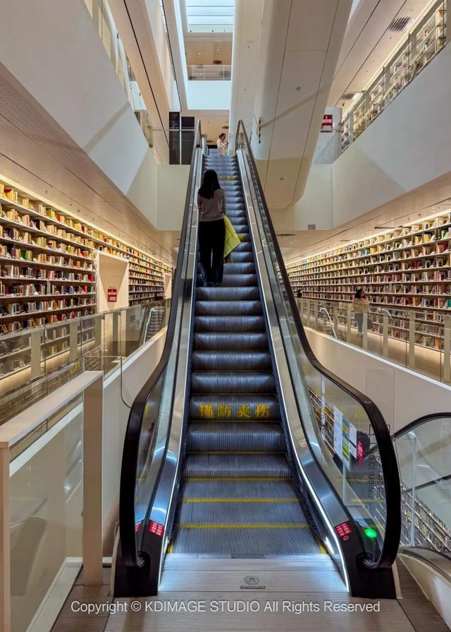 ​别再说深圳是文化沙漠！这份双馆暴走攻略，让你重新认识这座城市