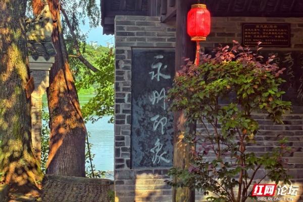 在蘋洲书院拆“文脉盲盒”，每一步都有惊喜