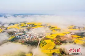 人这一辈子，一定要去一趟九江！图片
