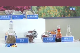 辣椒、万寿菊种子出海赞比亚 带动当地就业增收图片