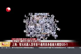 装上“大脑”让机器人获得学习能力 上海：智元机器人发布首个通用具身基座大模型GO-1视频封面