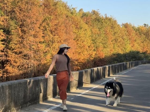 最近这里火了！出行提醒→