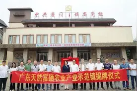 广东新会崖门镇大做“硒”文章点“土”成金图片