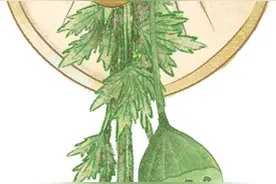 端午将至，一种“很新的艾草门挂”火了→图片