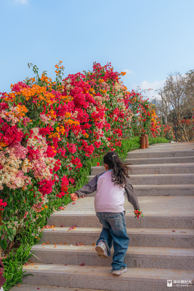 先睹为快！深圳巨型新地标启用，就在明天！