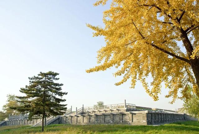 秋风引路入曲江，芙蓉金叶映红墙