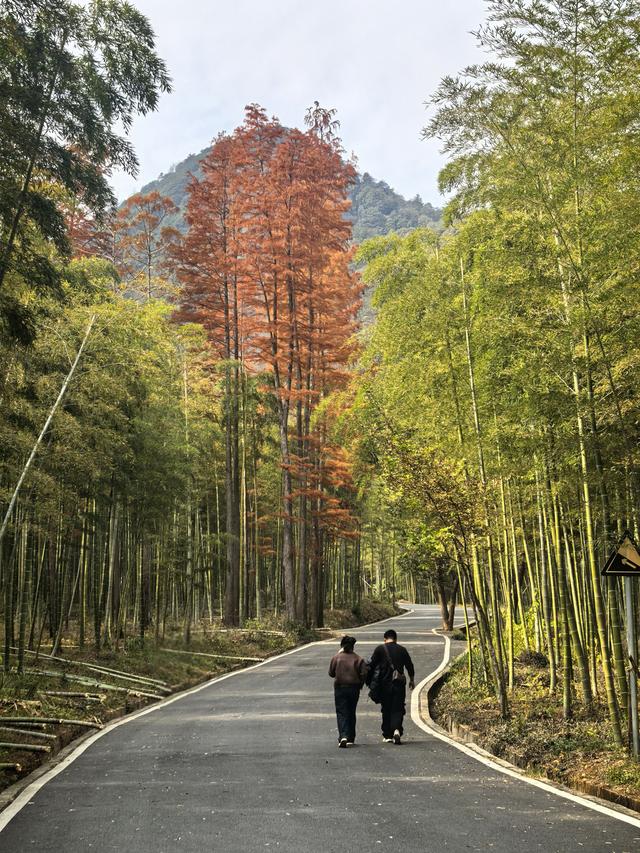 晚潮｜长乐初冬暖融融