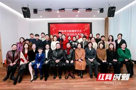 湖南省音乐家协会钢琴学会举行2024年度工作总结暨表彰大会图片
